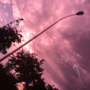 免费女人18毛片视频
