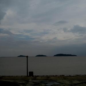 免费女人18毛片视频
