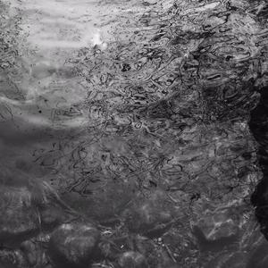 免费女人18毛片视频
